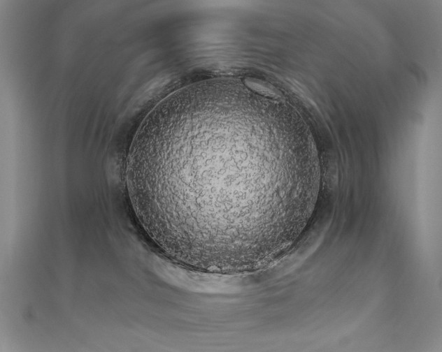 X0000110700044200906121343