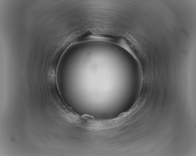 X0000110700045200906121343