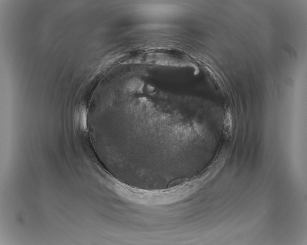 X0000110700046200906121343