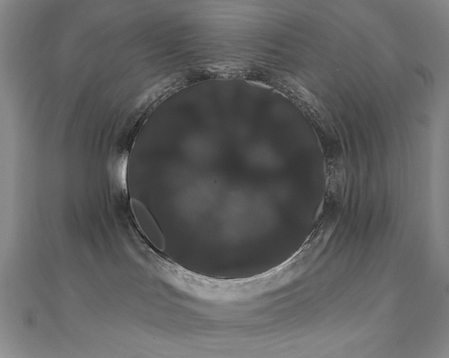 X0000110700047200906121343