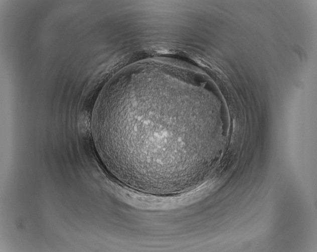 X0000110700048200906121343