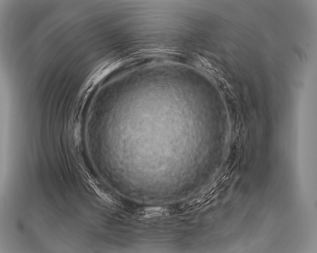 X0000110700050200906121342