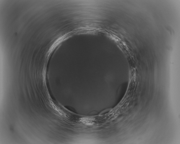 X0000110700051200906121342