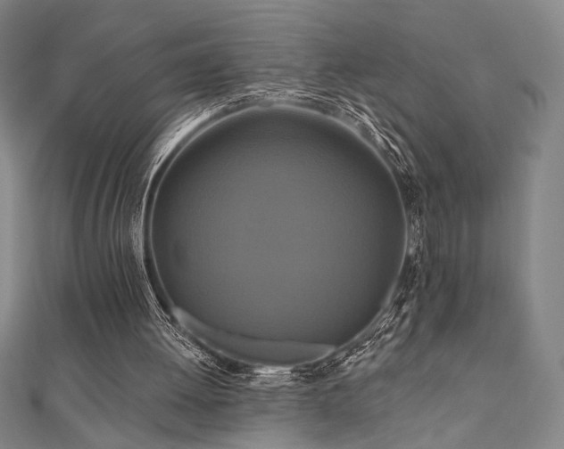 X0000110700052200906121342