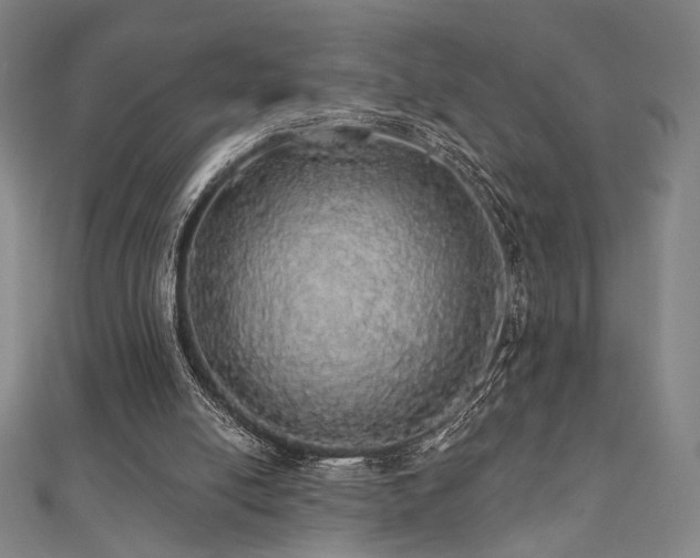 X0000110700054200906121342
