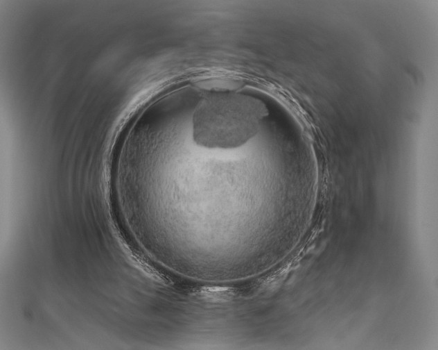X0000110700055200906121342