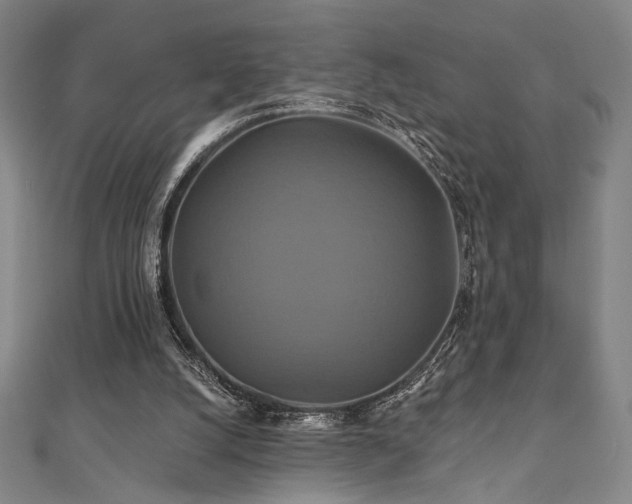 X0000110700056200906121342