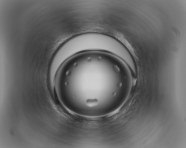 X0000110700058200906121342