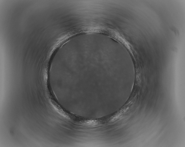X0000110700059200906121342