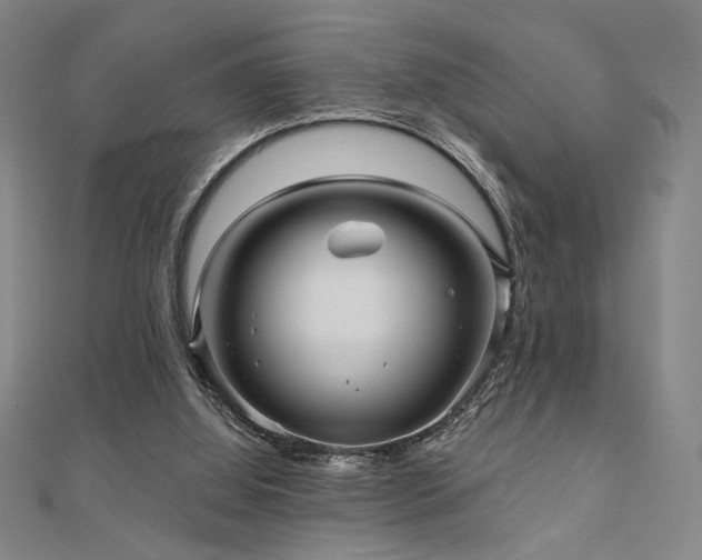 X0000110700060200906121342