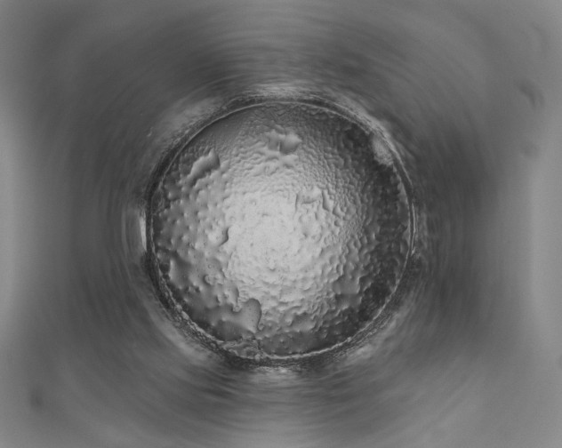 X0000110700061200906121342