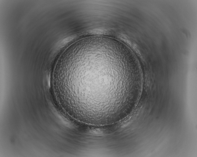 X0000110700062200906121342