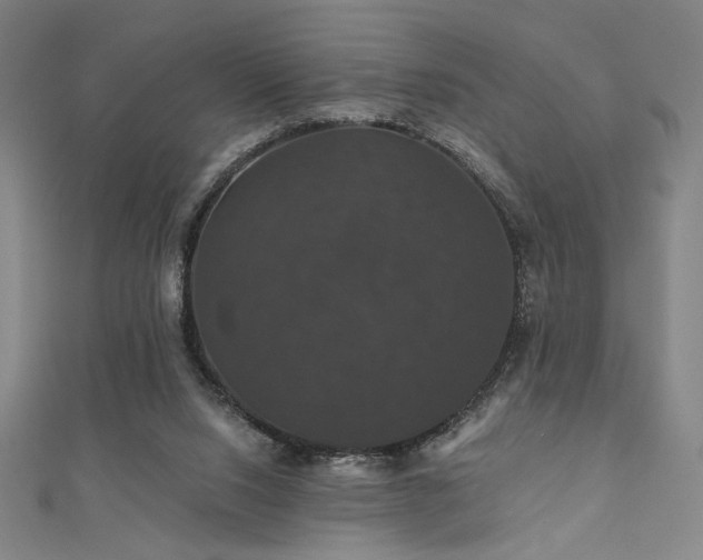 X0000110700064200906121342
