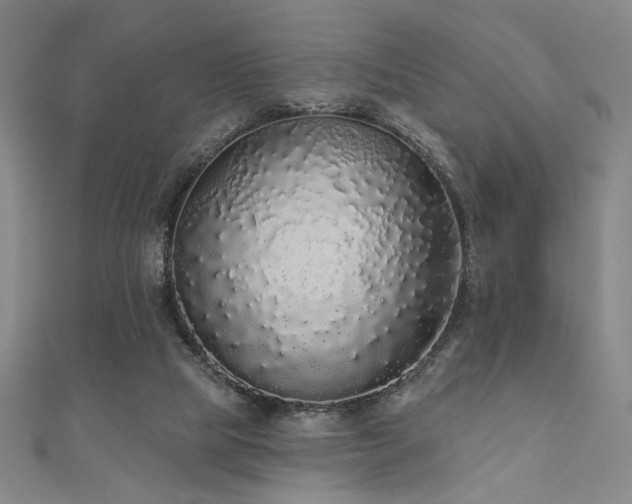 X0000110700065200906121342