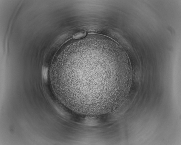 X0000110700070200906121342