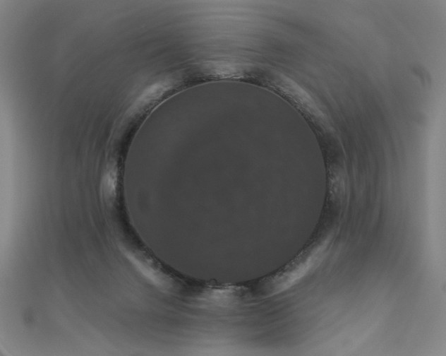 X0000110700072200906121342