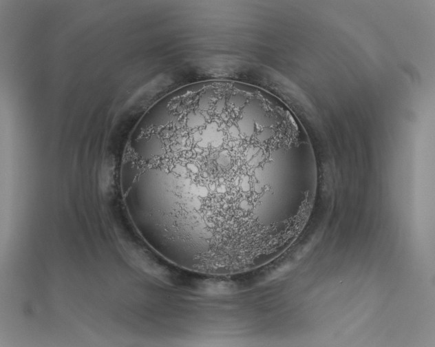 X0000110700073200906121342