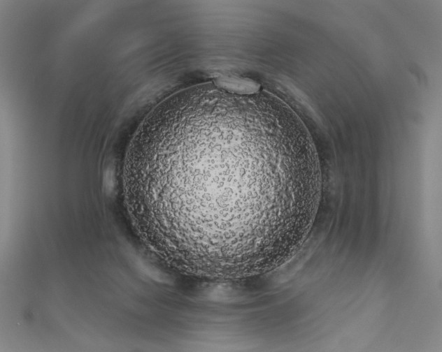 X0000110700074200906121342