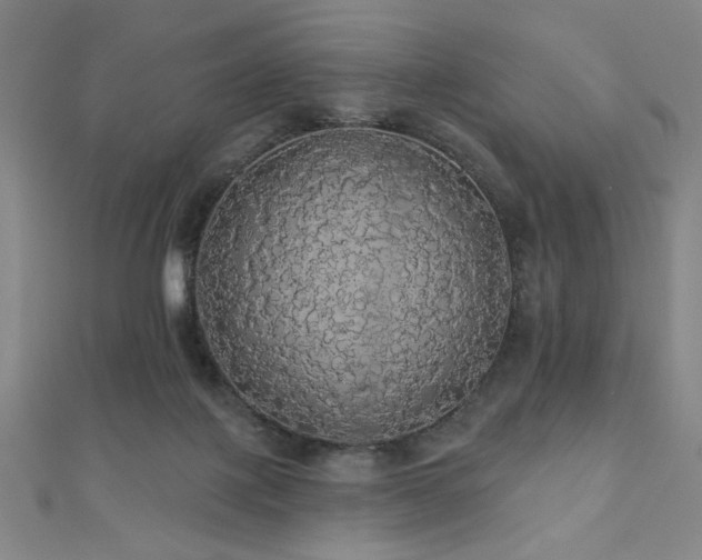 X0000110700075200906121342