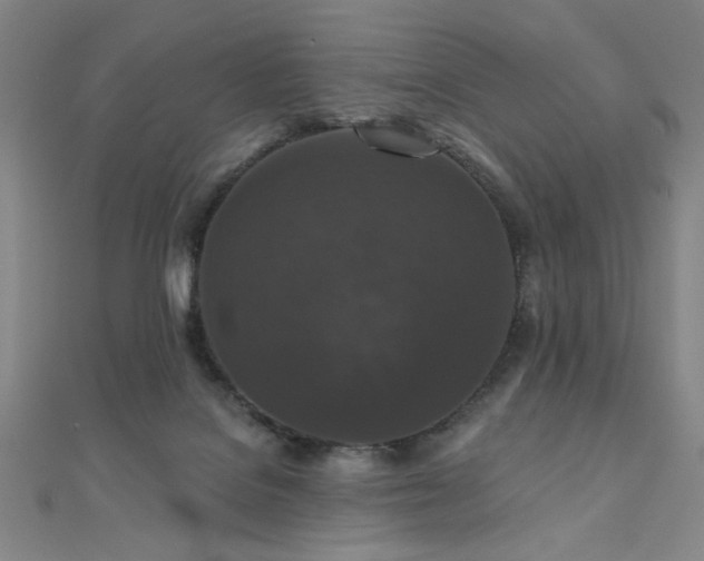 X0000110700076200906121342