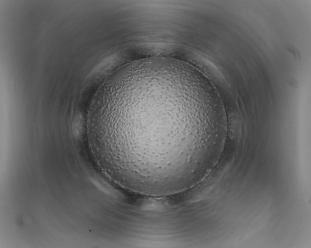 X0000110700077200906121342
