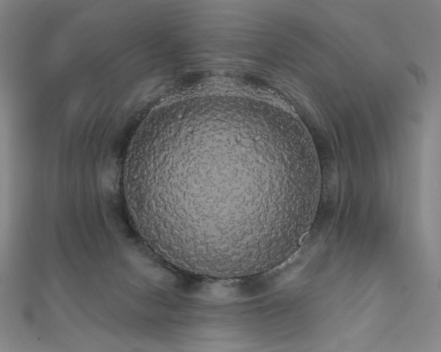 X0000110700078200906121342
