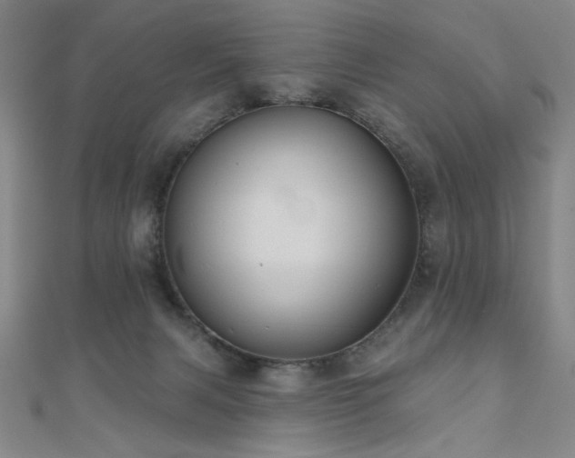X0000110700079200906121342