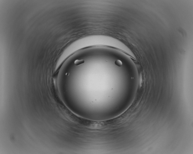 X0000110700080200906121342