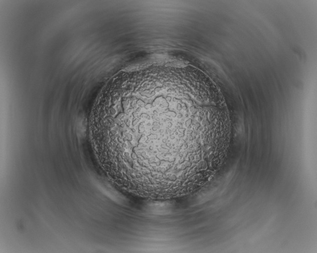 X0000110700081200906121342