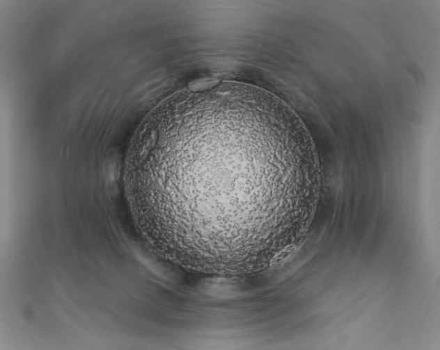 X0000110700082200906121342