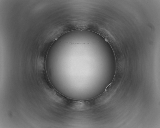 X0000110700083200906121342