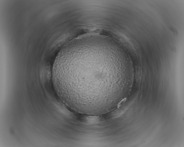 X0000110700085200906121342