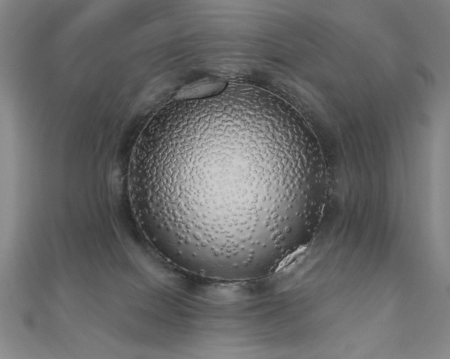 X0000110700086200906121342
