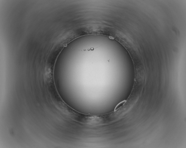 X0000110700087200906121342