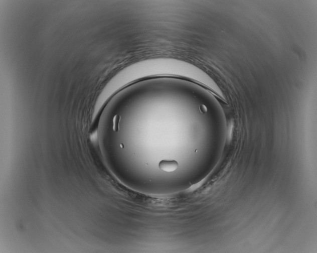 X0000110700088200906121342