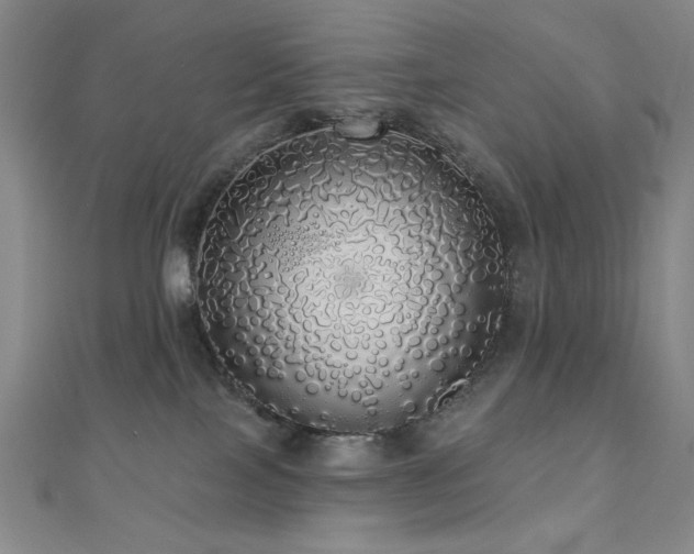 X0000110700089200906121342