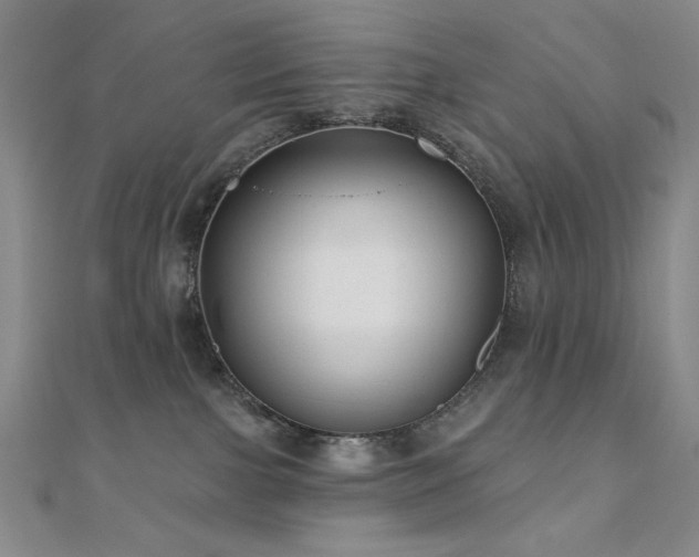 X0000110700091200906121342