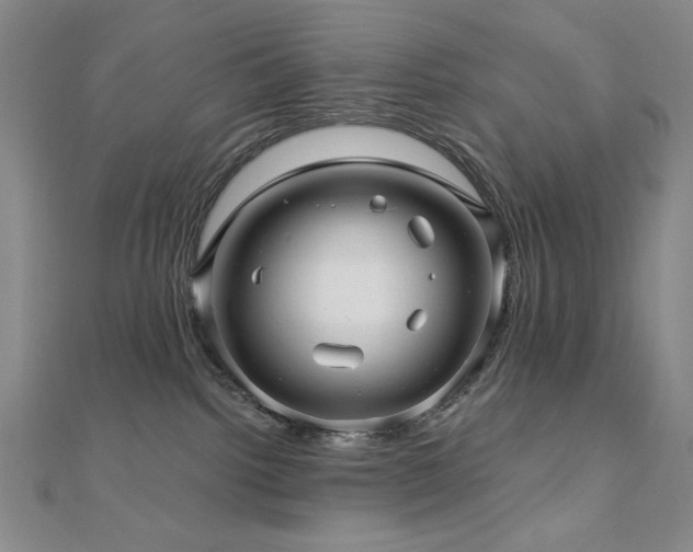 X0000110700092200906121342