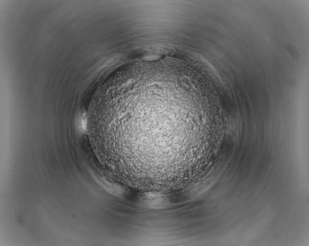 X0000110700095200906121343