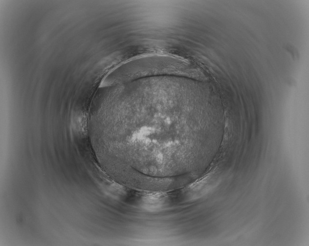 X0000110700096200906121343