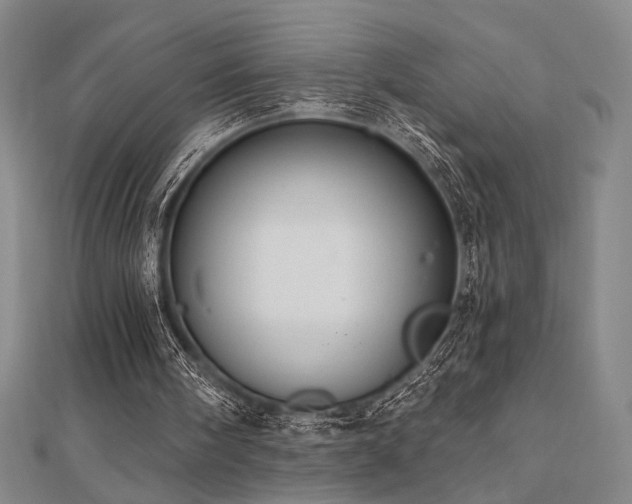 X0000110700098200906121342