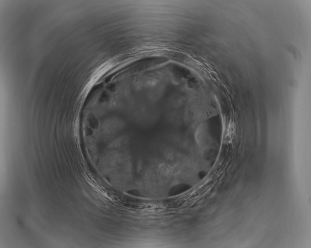 X0000110700099200906121342