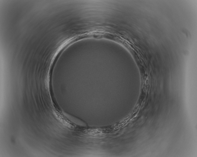 X0000110700100200906121342