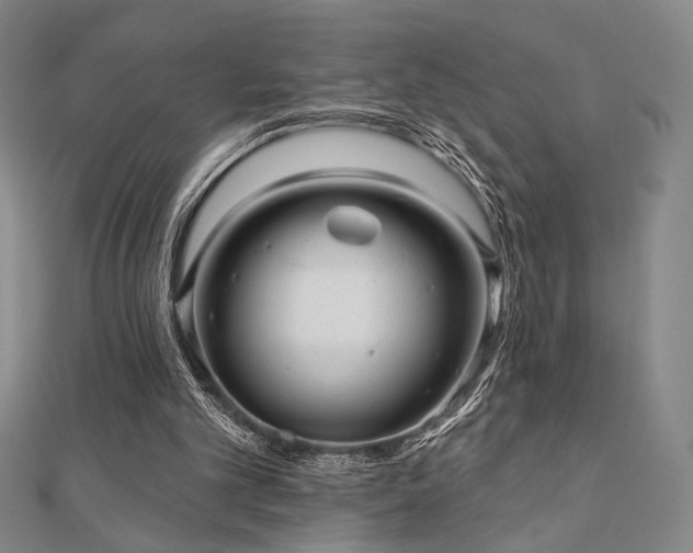 X0000110700101200906121342