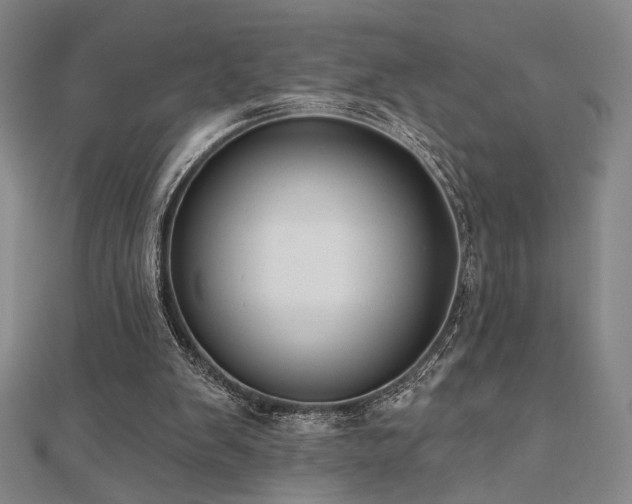 X0000110700103200906121342