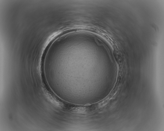 X0000110700104200906121342
