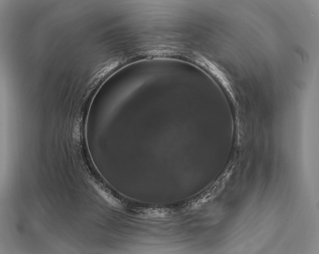 X0000110700105200906121342