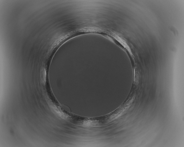 X0000110700109200906121342