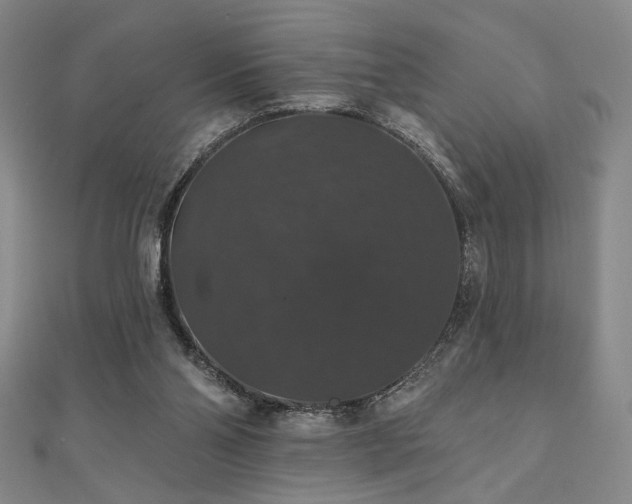 X0000110700110200906121342