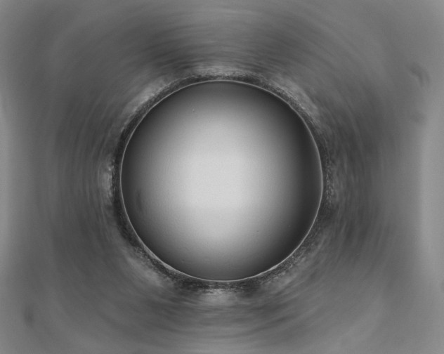 X0000110700111200906121342